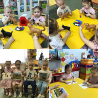 Зоозащитная акция "Снежный пес" Зоозащитная акция "Снежный пес".