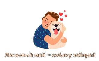 "Ласковый май - собаку забирай!" "Ласковый май - собаку забирай!".