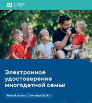 О мерах социальной поддержки многодетных семей О мерах социальной поддержки многодетных семей.