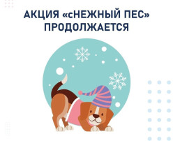 акция "сНежный пёс" продолжается акция "сНежный пёс" продолжается.