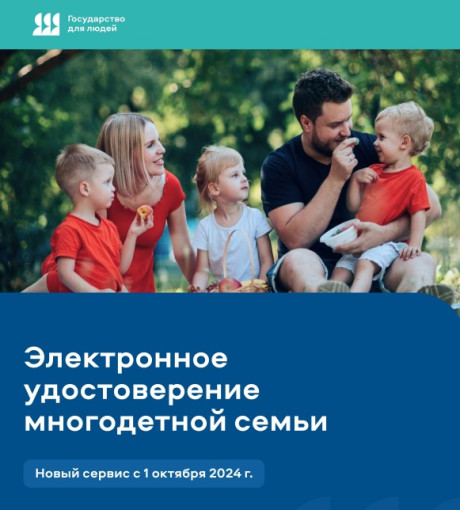 О мерах социальной поддержки многодетных семей О мерах социальной поддержки многодетных семей.